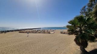 2024-01-Paseo_Costa_Canaria-San_Agustin-Ingles-149.jpg